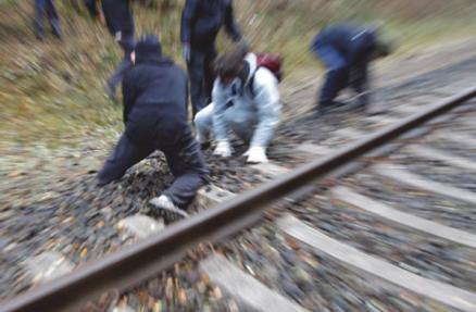 Schottern 2010 Schottern 2010