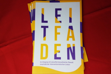 Leitfaden im Umgang mit sexueller/sexualisierter Gewalt innerhalb der IL