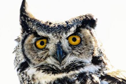 Eine Antwort auf Paris liegt in Athen